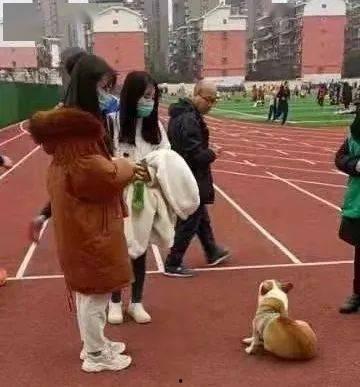 娱乐吃瓜酱操场